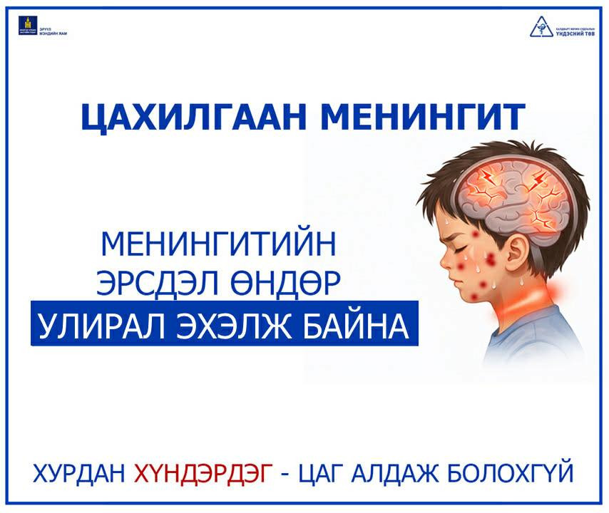 Менингококкт халдвар цаг, минуттай уралддаг өвчин тул эрт оношлуулж, эмчлэх нь амь насыг аварна
